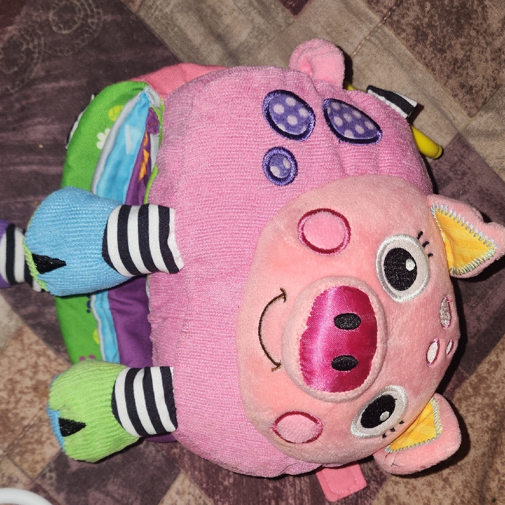 Adorable Pink and Multicolor Plush Pig Toy